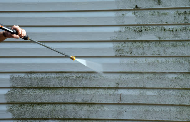 Best Pressure Washing Driveway  in Glen Lyon, PA